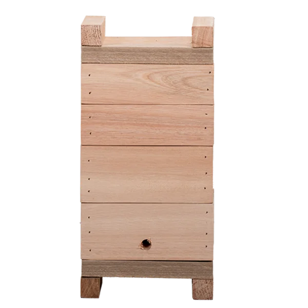 Caixa De Abelha Inpa 12x12 Abelha Sem Ferrão Eucalipto - Agrobees