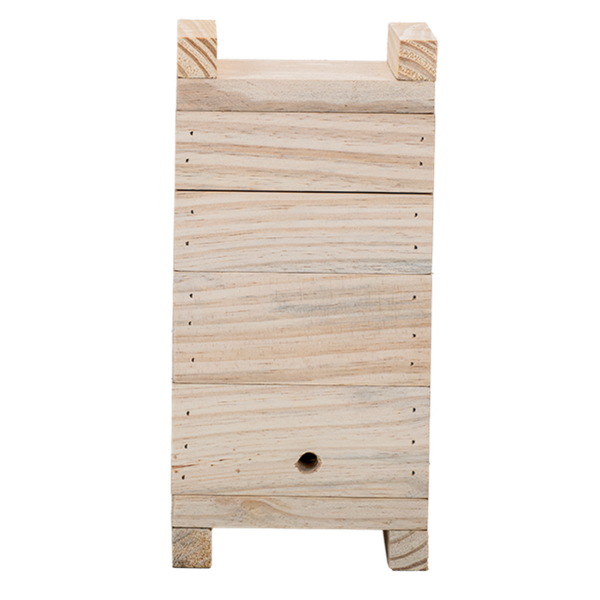 Caixa De Abelha Inpa 12x12 Abelha Sem Ferrão Pinus - Agrobees
