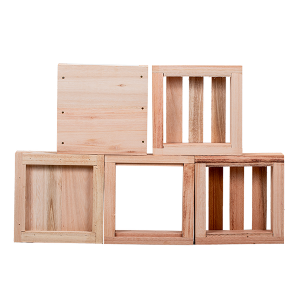 Caixa De Abelha Inpa 20x20 Abelha Sem Ferrão Eucalipto - Agrobees