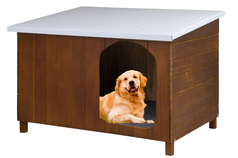 Casinha Cachorro Criadeira N6 Resistente Teto Galvanizado - Agrobees