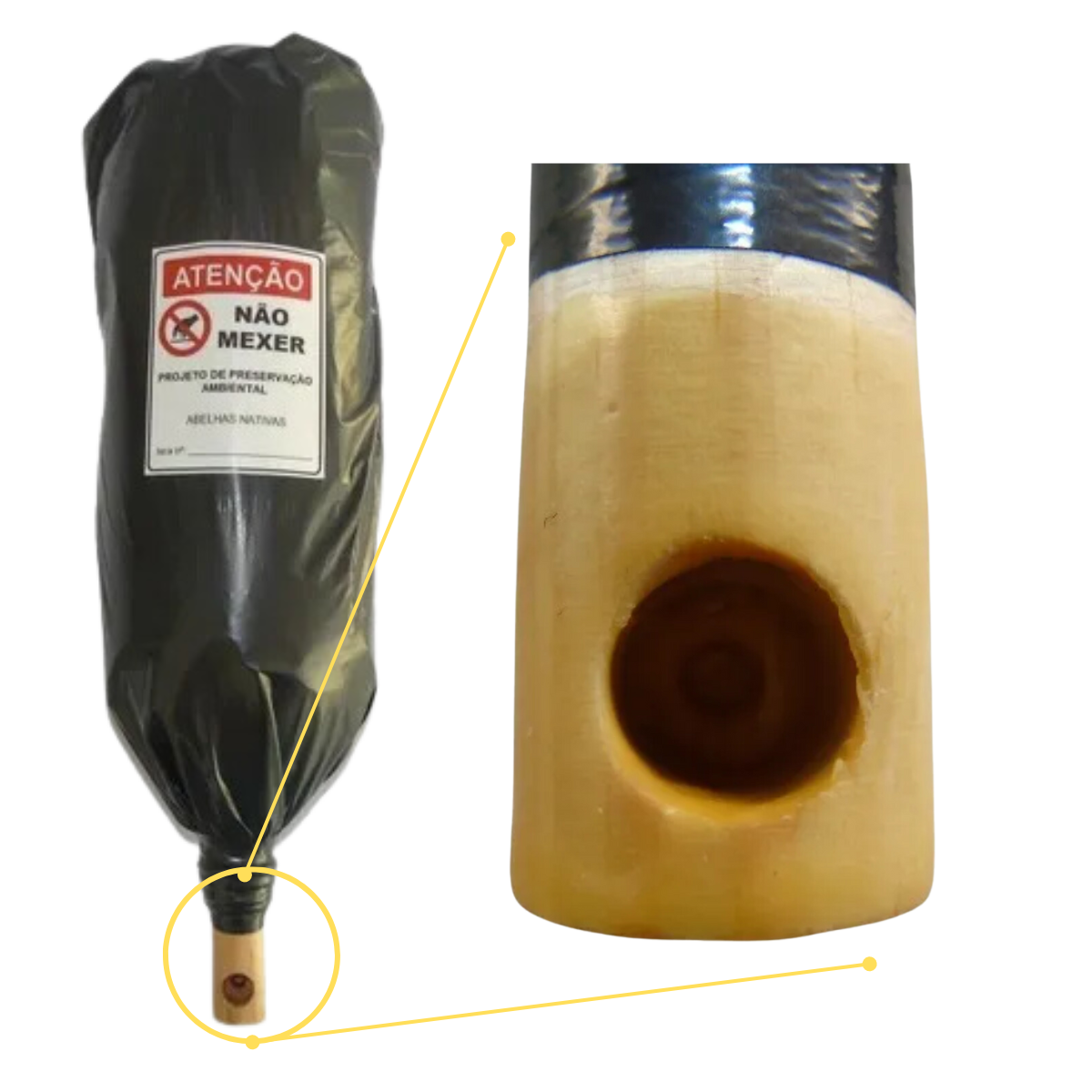 2copia de 10 isca captura abelha sem ferrao jatai mandacaia manduri pet vertical enxame 1