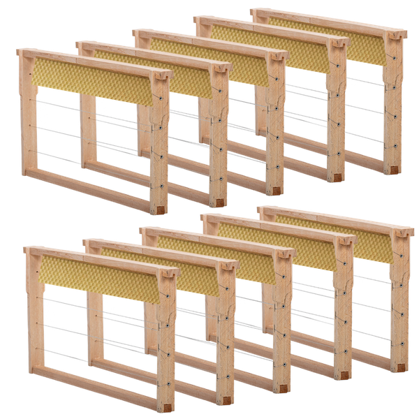 10 Quadros Caixilhos Ninho Langstroth C/ Cera, Arame e Ilhos