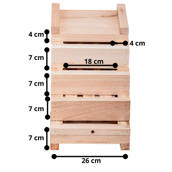＊yukapon＊ Caixa Inpa 18x18 Abelha Sem Ferrão Jatai Grossa 4cm Eucalipto